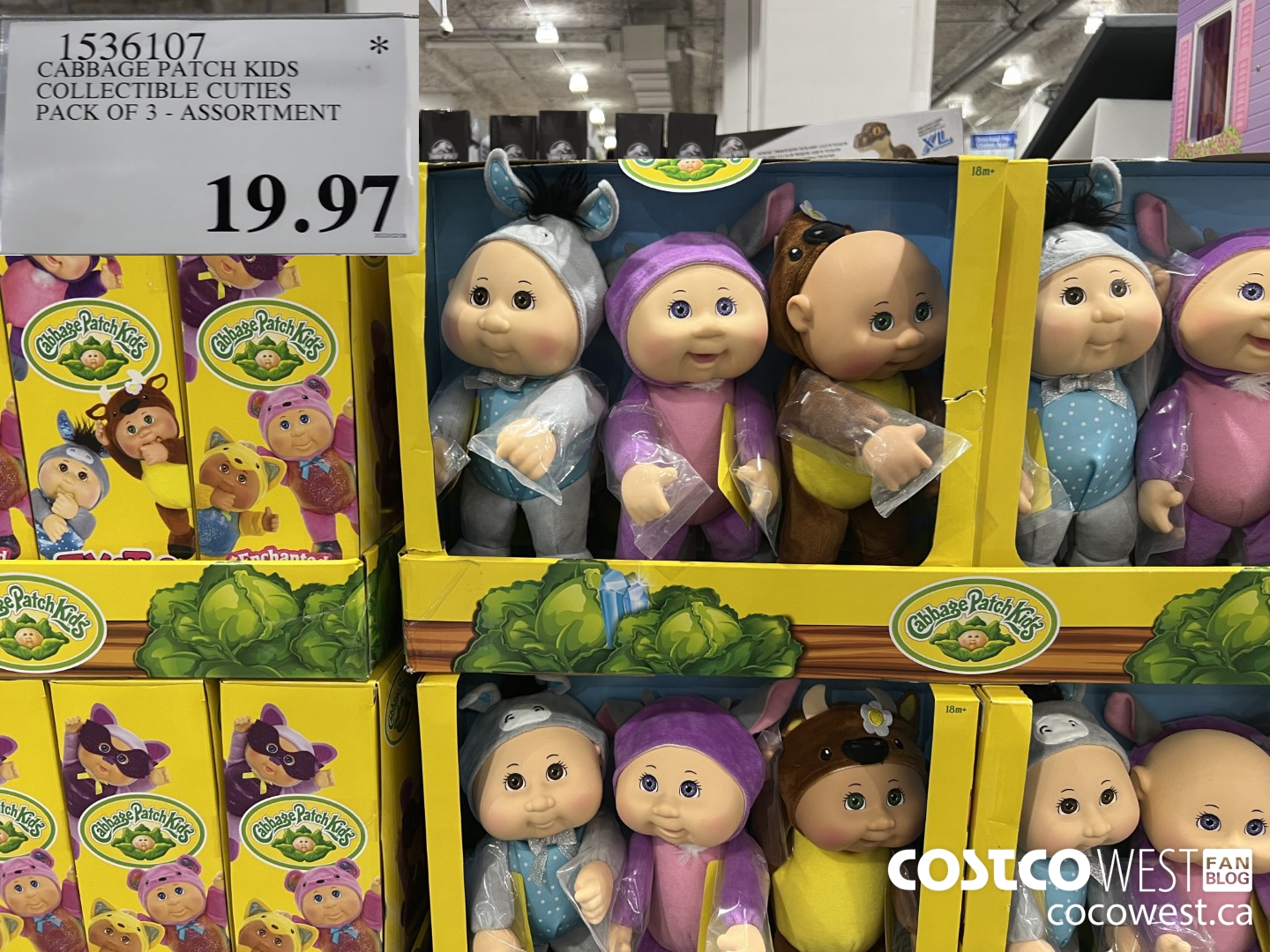 1536107 CABBAGE PATCH KIDS COLLECTIBLE CUTIES ASSORTMENT PACK OF 3 $19.97