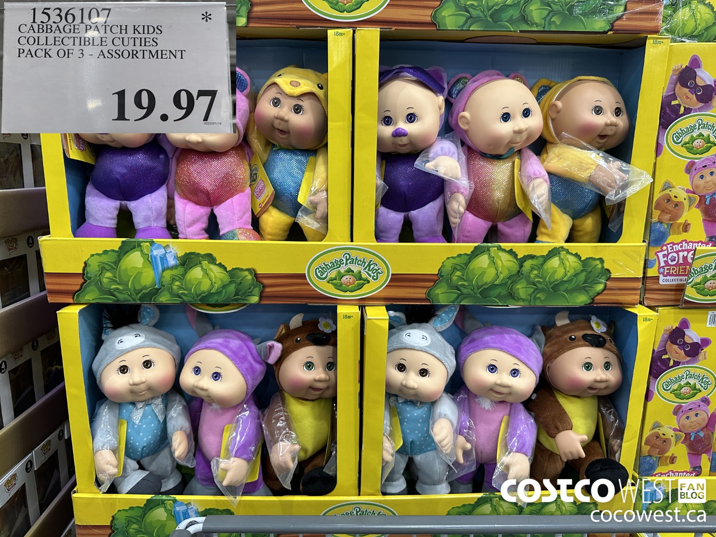 1536107 CABBAGE PATCH KIDS COLLECTIBLE CUTIES ASSORTMENT PACK OF 3 $19.97