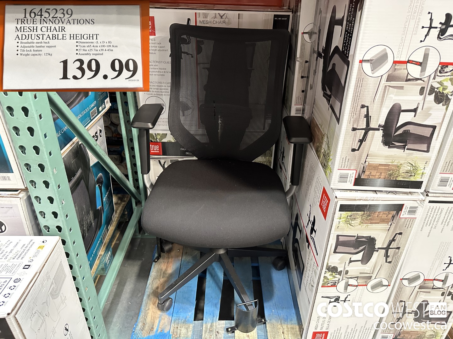 1645239 TRUE INNOVATIONS MESH CHAIR ADJUSTABLE HEIGHT $139.99