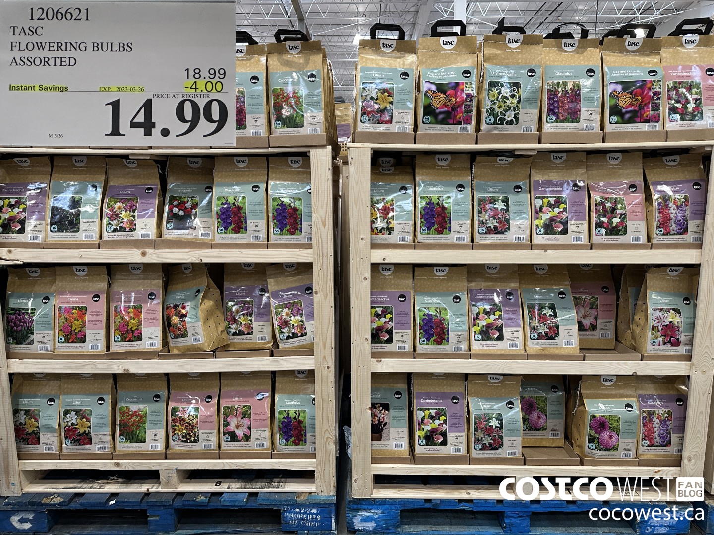 1206621 BULBS ARE EASY FLOWERING BULBS ASSORTED ($4.00 INSTANT SAVINGS EXPIRES ON 2023-03-26) $14.99