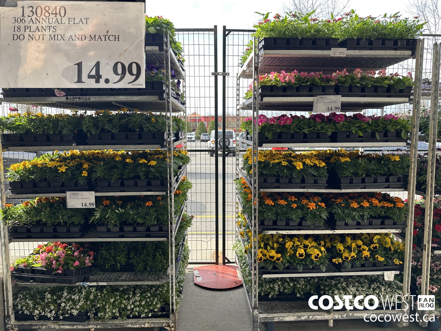 UPDATED Costco Spring Garden Centre 2023 Superpost The Entire Garden