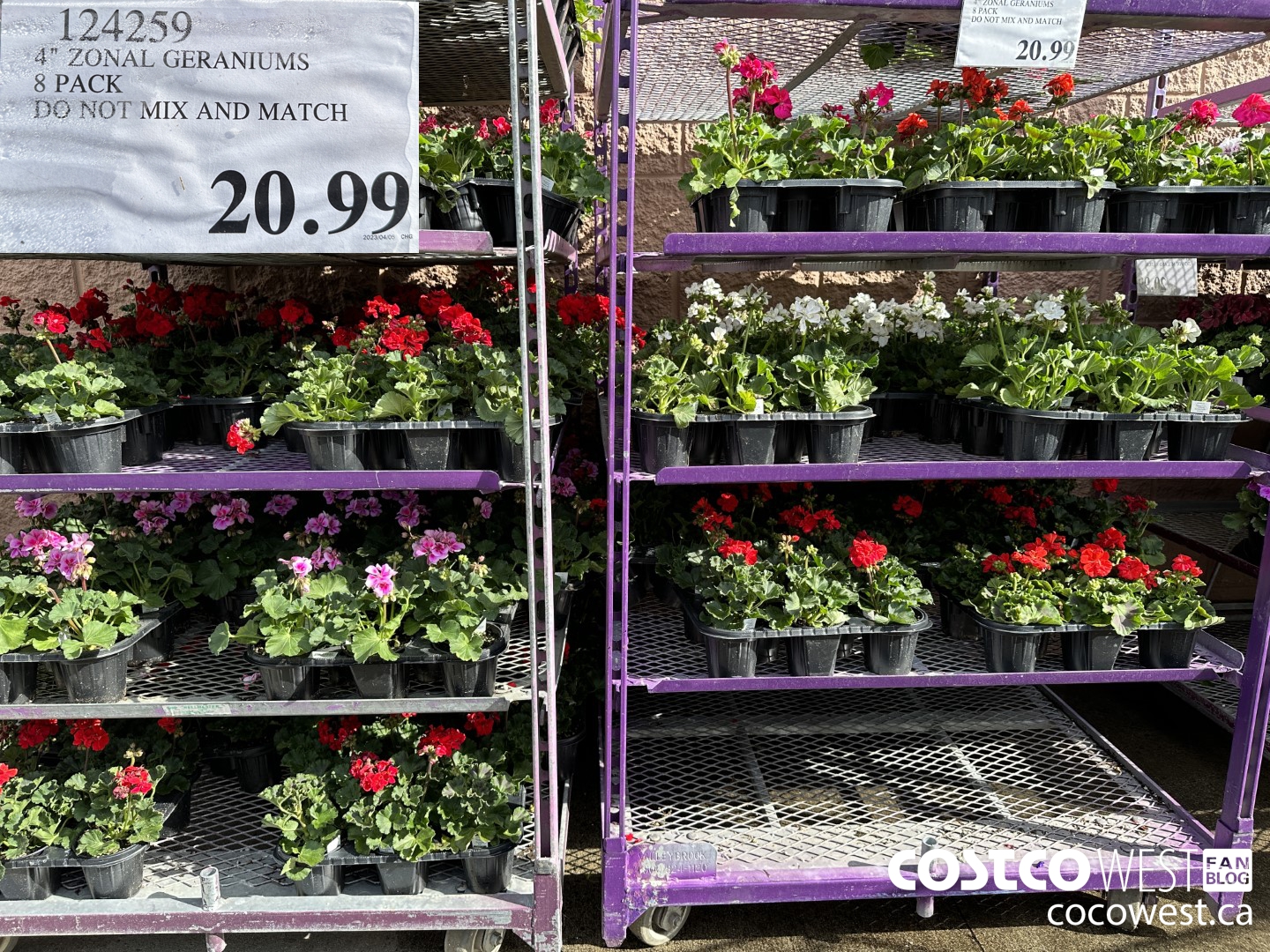 UPDATED Costco Spring Garden Centre 2023 Superpost The Entire Garden