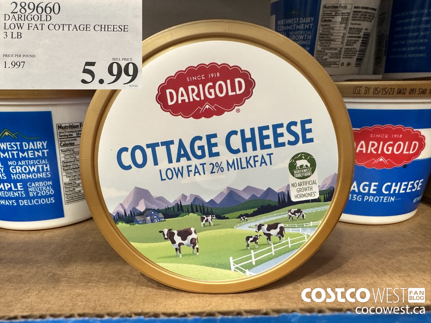 289660 DARIGOLD LOW FAT COTTAGE CHEESE 3 LB $5.99