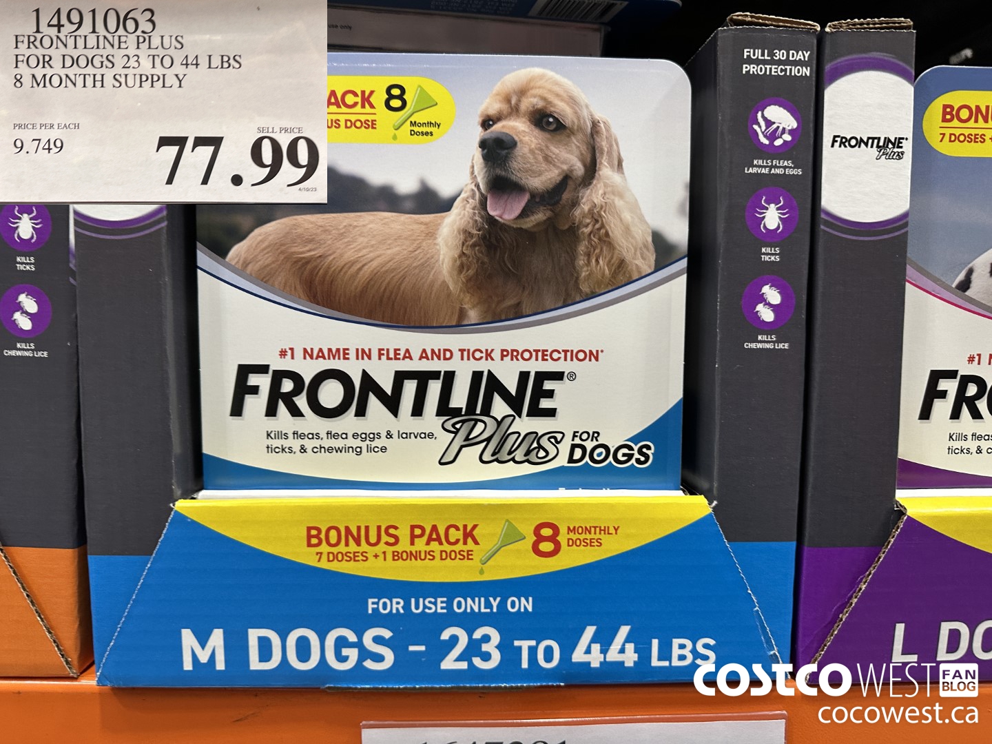 1491063 FRONTLINE PLUS FOR DOGS 23 TO 44 LBS 8 MONTH SUPPLY $77.99
