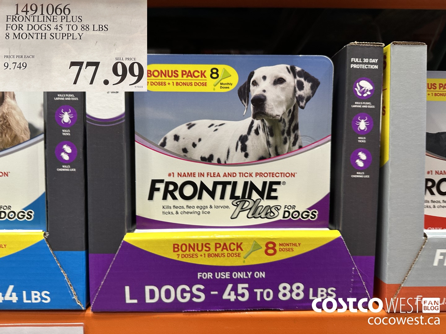 1491066 FRONTLINE PLUS FOR DOGS 45 TO 88 LBS 8 MONTH SUPPLY $77.99