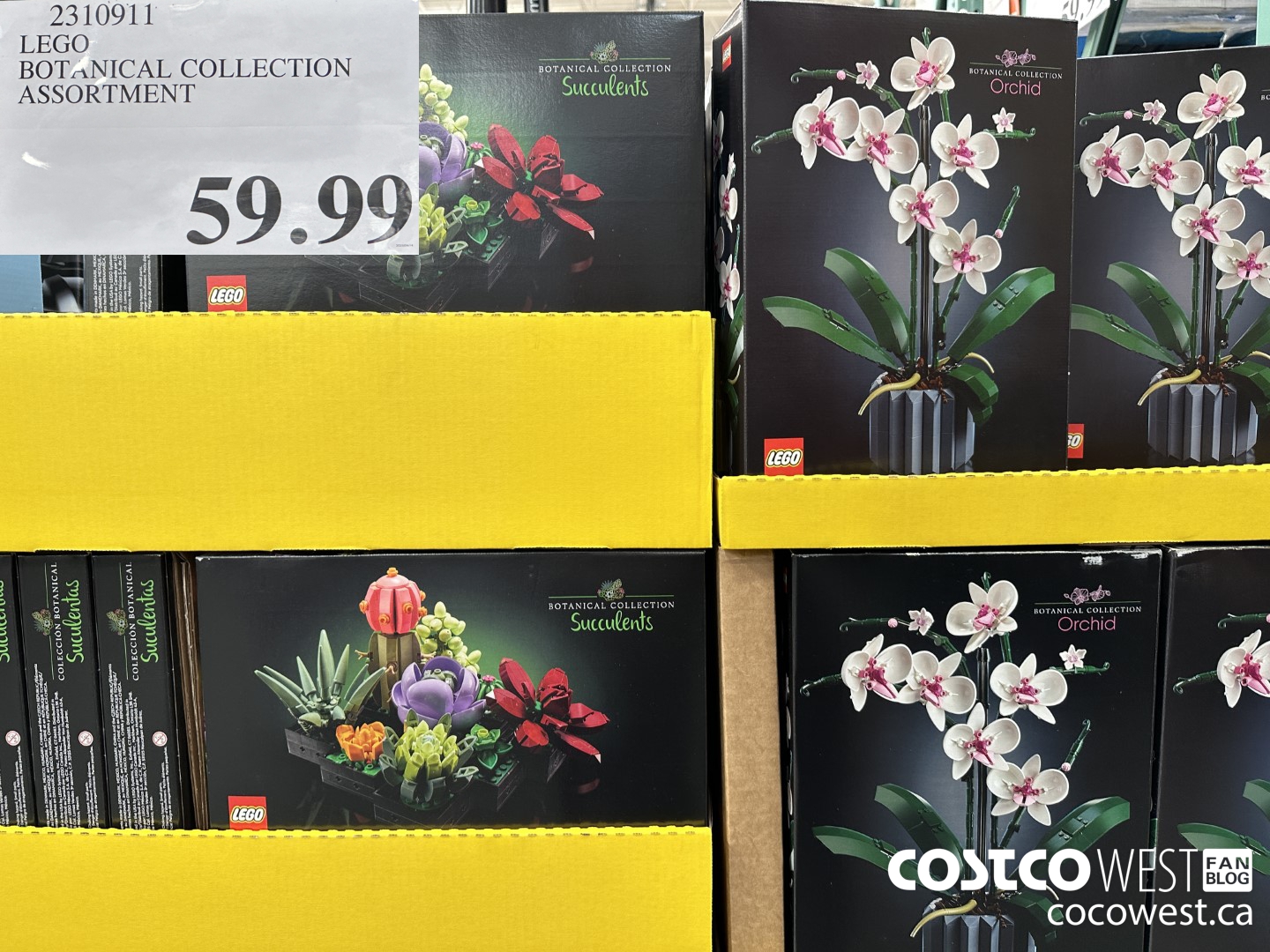 2310911 LEGO BOTANICAL COLLECTION ASSORTMENT $59.99