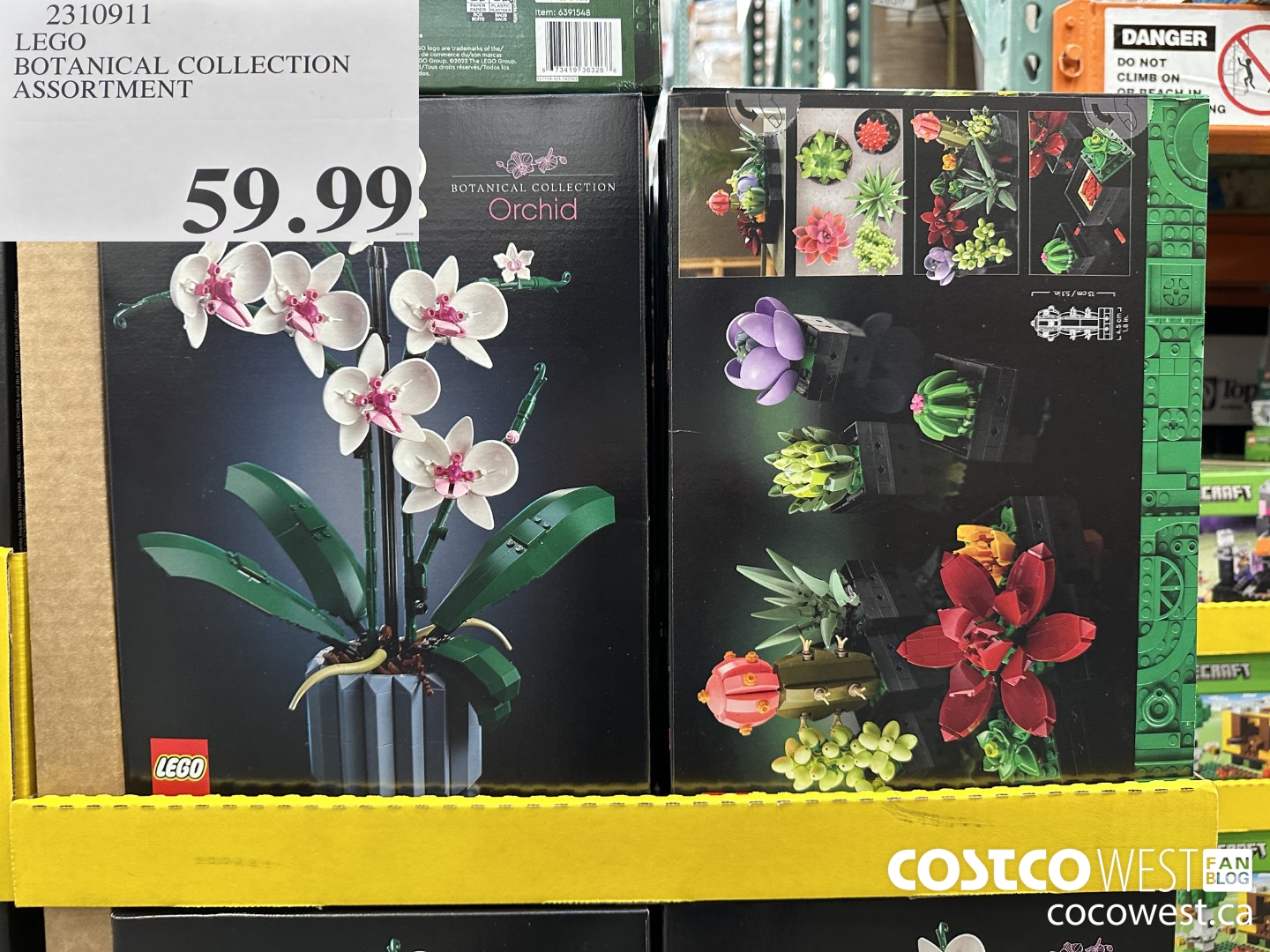 2310911 LEGO BOTANICAL COLLECTION ASSORTMENT $59.99