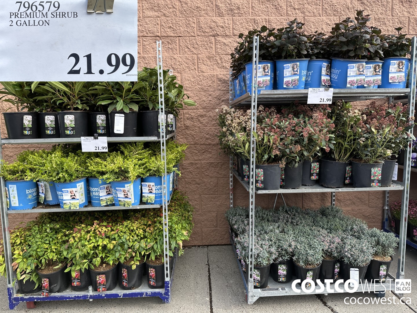 Costco Spring Garden Centre 2023 Superpost Fruit Trees / Perennials