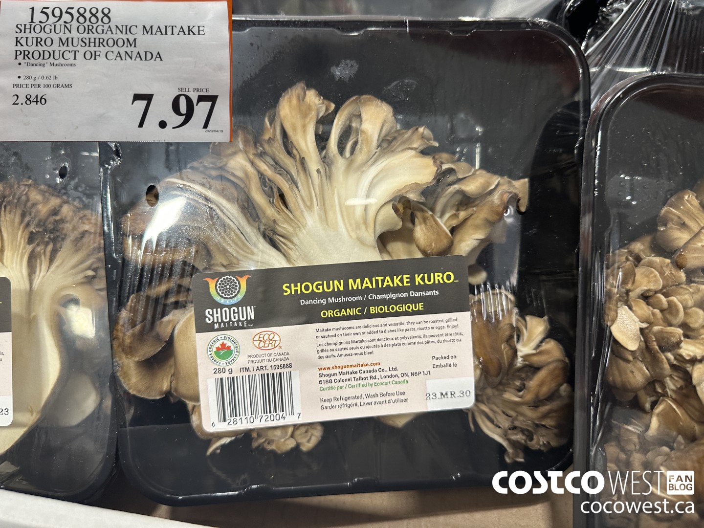 1595888 SHOGUN ORGANIC MAITAKE KORU MUSHROOM PRODUCT OF CANADA $7.97