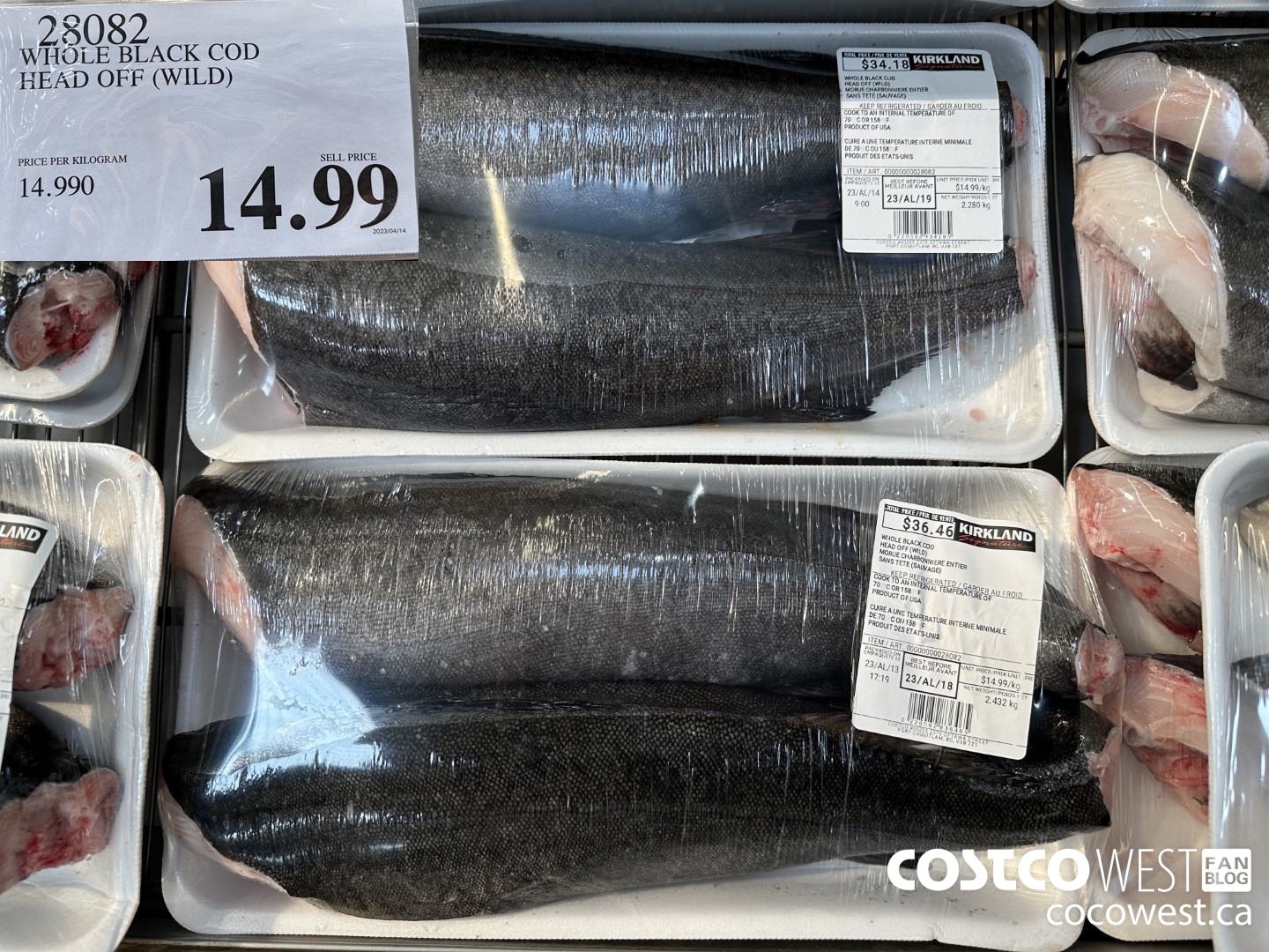 28082 WHOLE BLACK COD HEAD OFF (WILD) $14.99