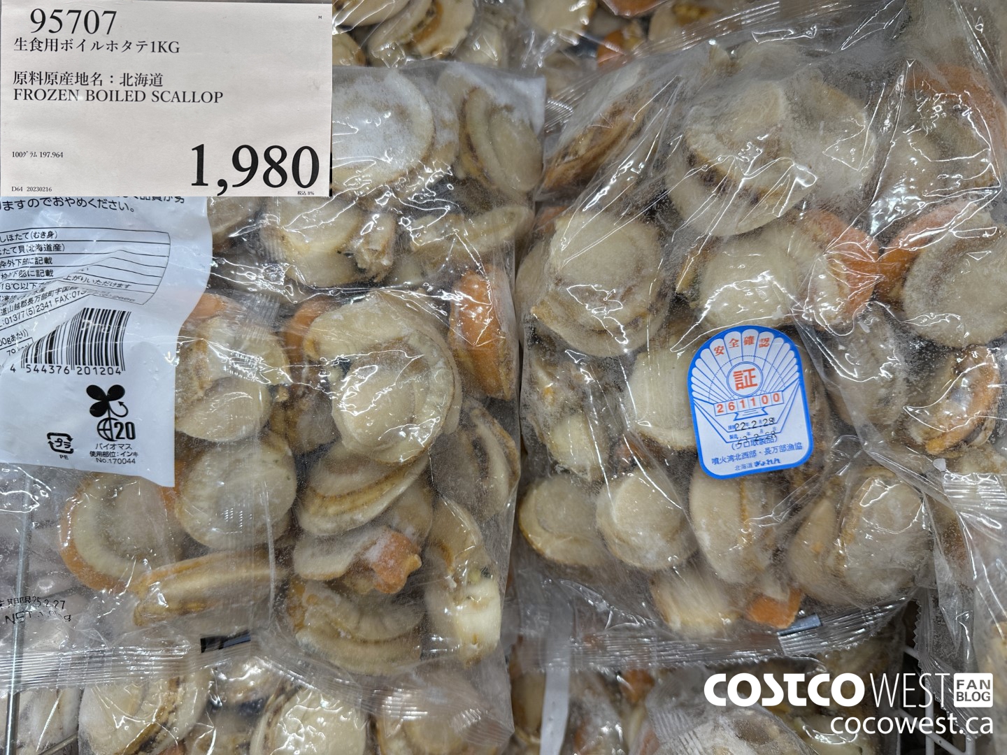 95707 1KG FROZEN BOILED SCALLOP $1980.00