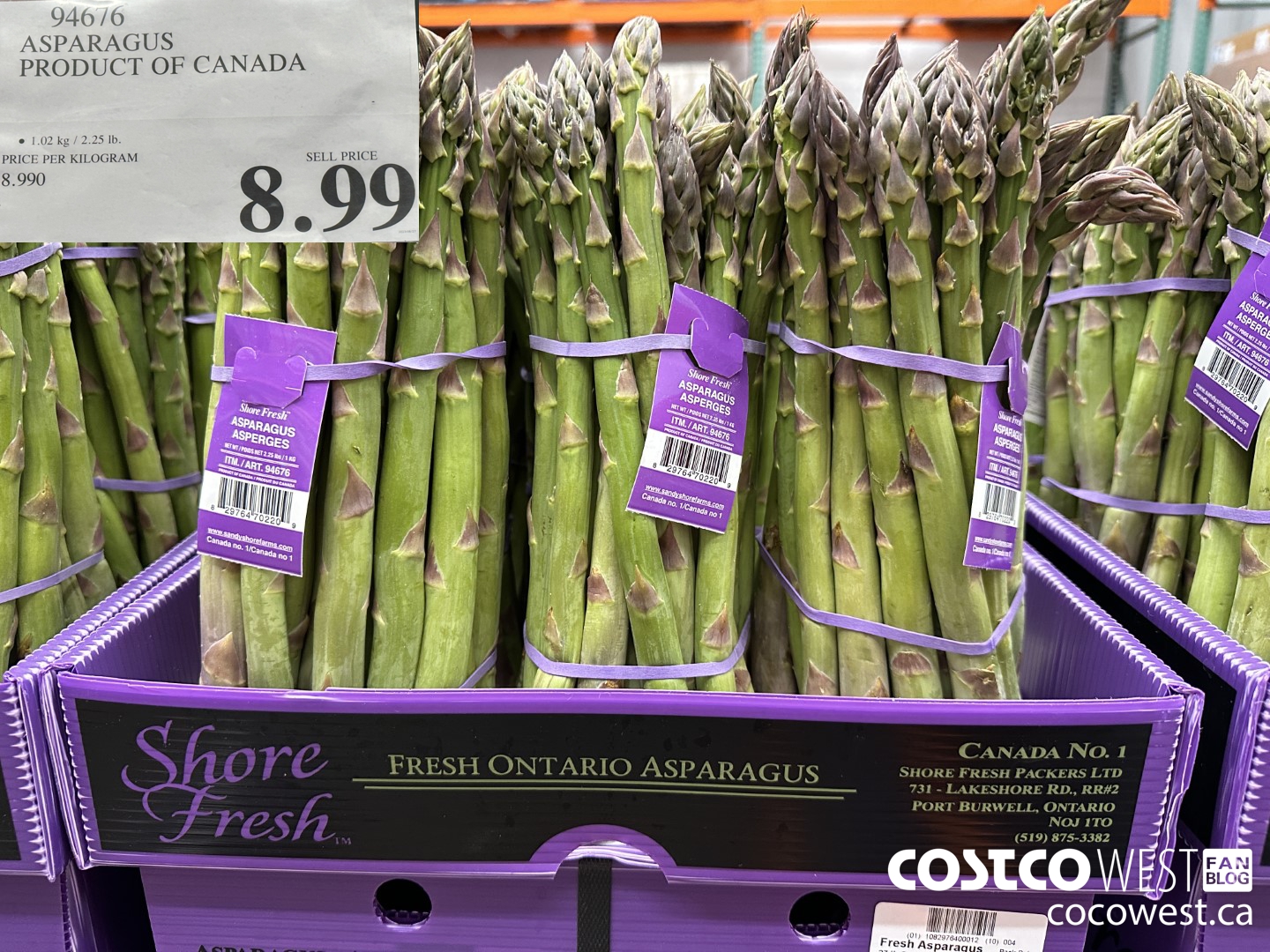 94676 ASPARAGUS PRODUCT OF CANADA $8.99
