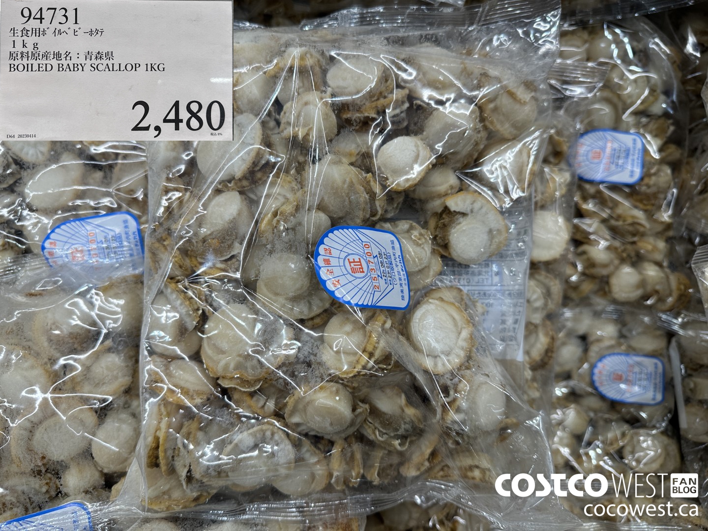 94731 BOILED BABY SCALLOP 1KG $2480.00