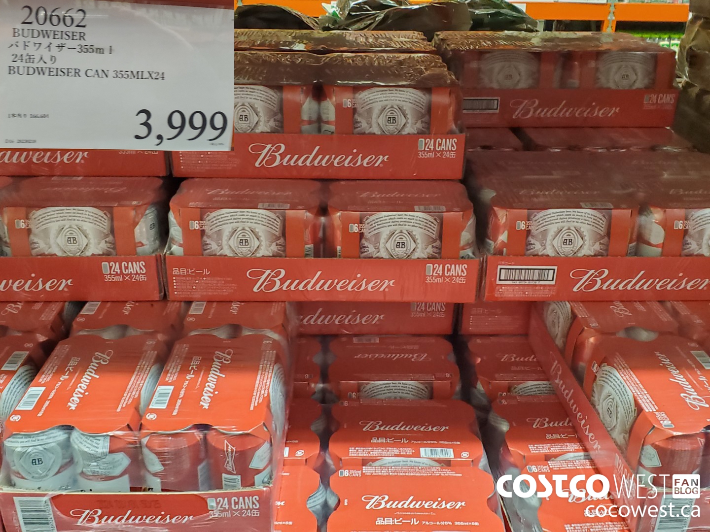 20662 BUDWEISER CAN 355ML X 24 $3999.00