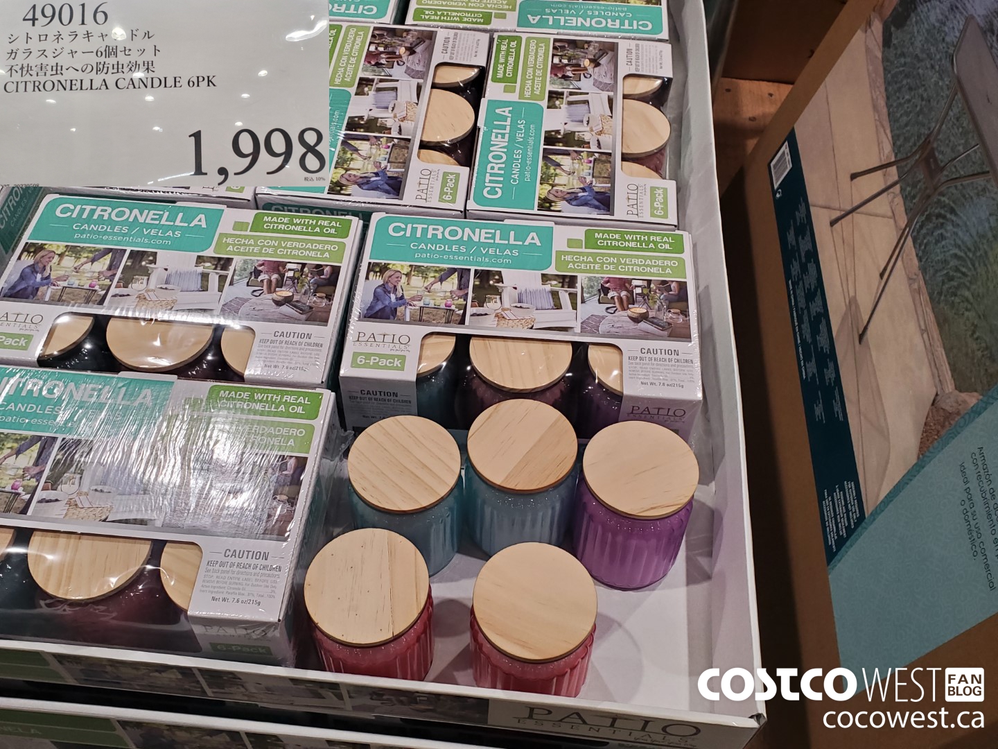 49016 CITRONELLA CANDLE 6PK $1998.00