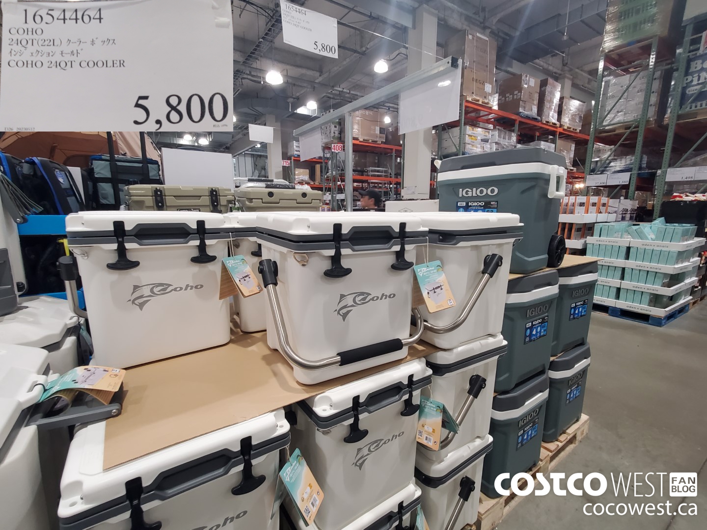 1654464 COHO 24QT COOLER $5800.00