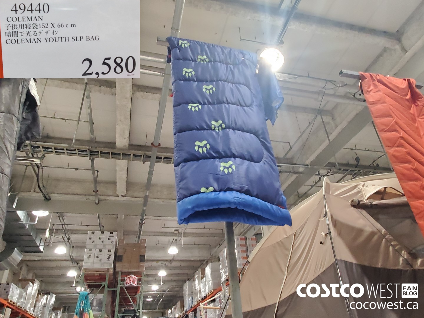 49440 COLEMAN YOUTH SLP BAG 152X66CM $2580.00