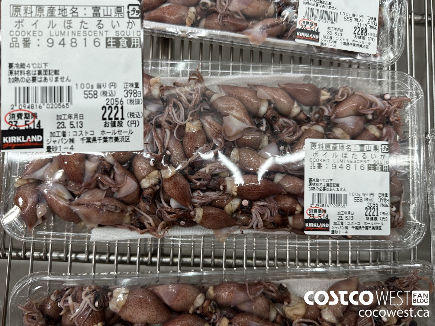 94816 COOKED LUMINESCENT SQUID $2221.00