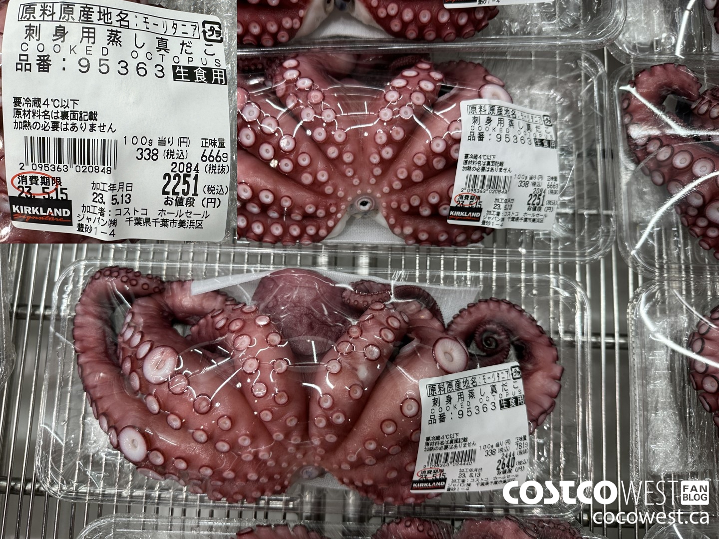 95363 COOKED OCTOPUS $2251.00