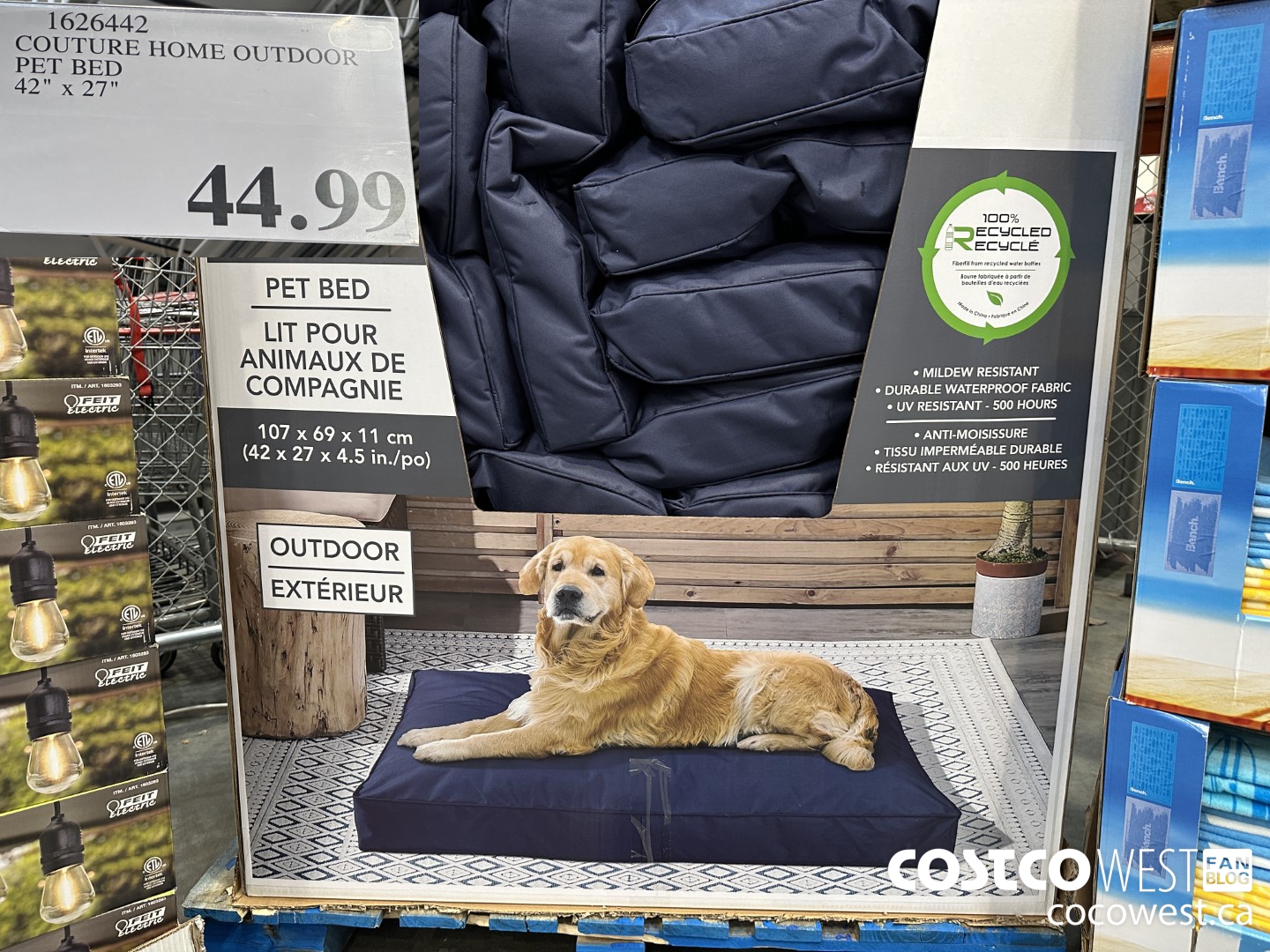 Costco dog outlet ramp