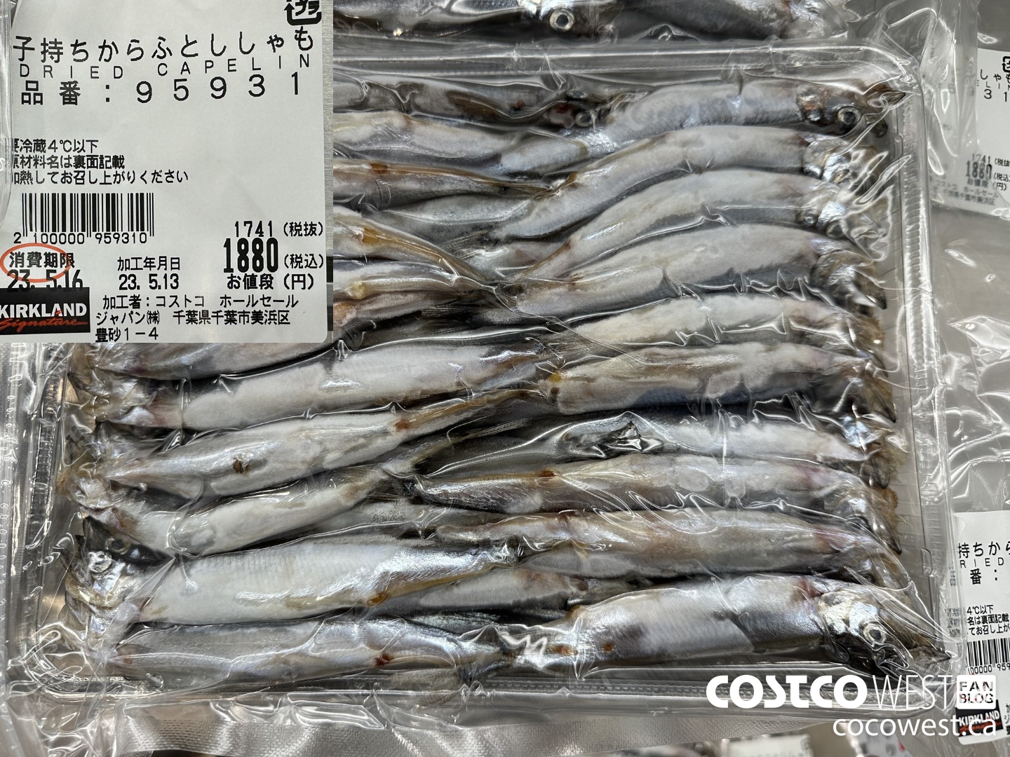 95931 DRIED CAPELIN $1880.00