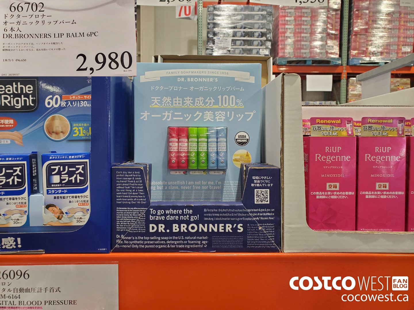 66702 DR. BRONNERS LIP BALM 6PC $2980.00