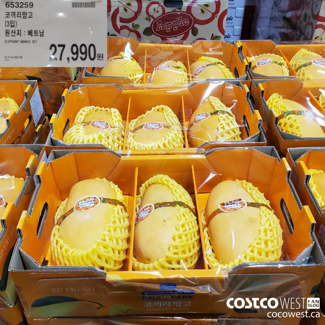 653259 ELEPHANT MANGO 3CT $27990.00