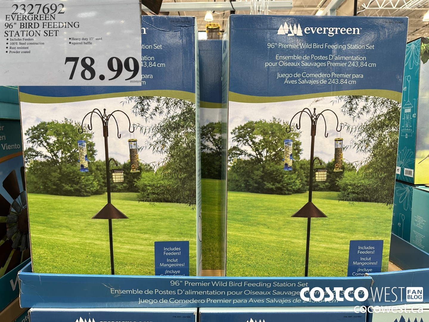 2327692 EVERGREEN 96