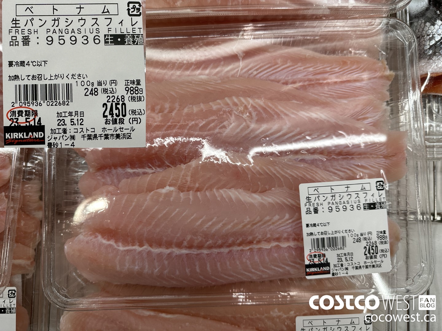 95936 FRESH PANGASIUS FILLET $2450.00