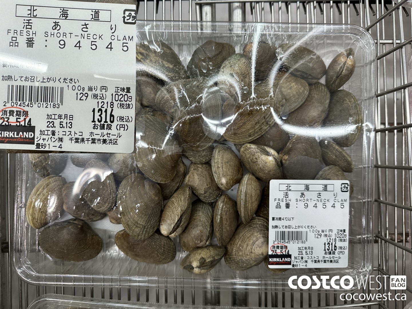 94545 FRESH SHORT-NECK CLAM $1316.00