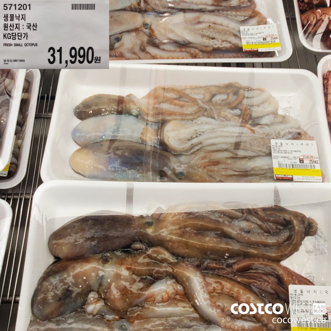 571201 FRESH SMALL OCTOPUS $31990.00