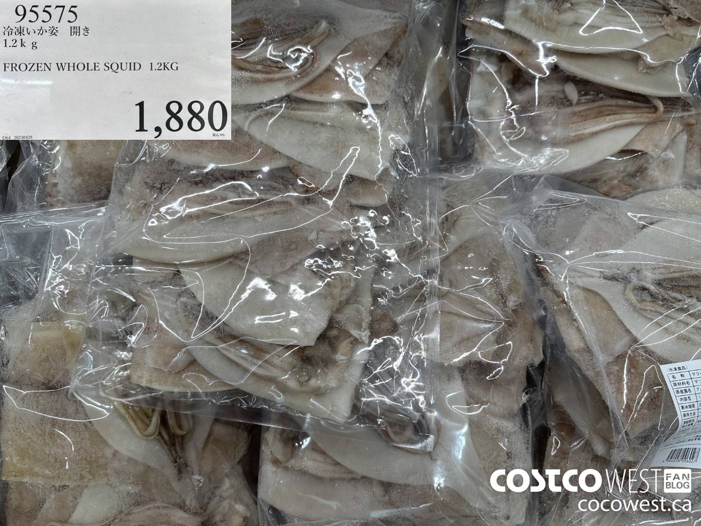 95575 FROZEN WHOLE SQUID 1.2KG $1880.00