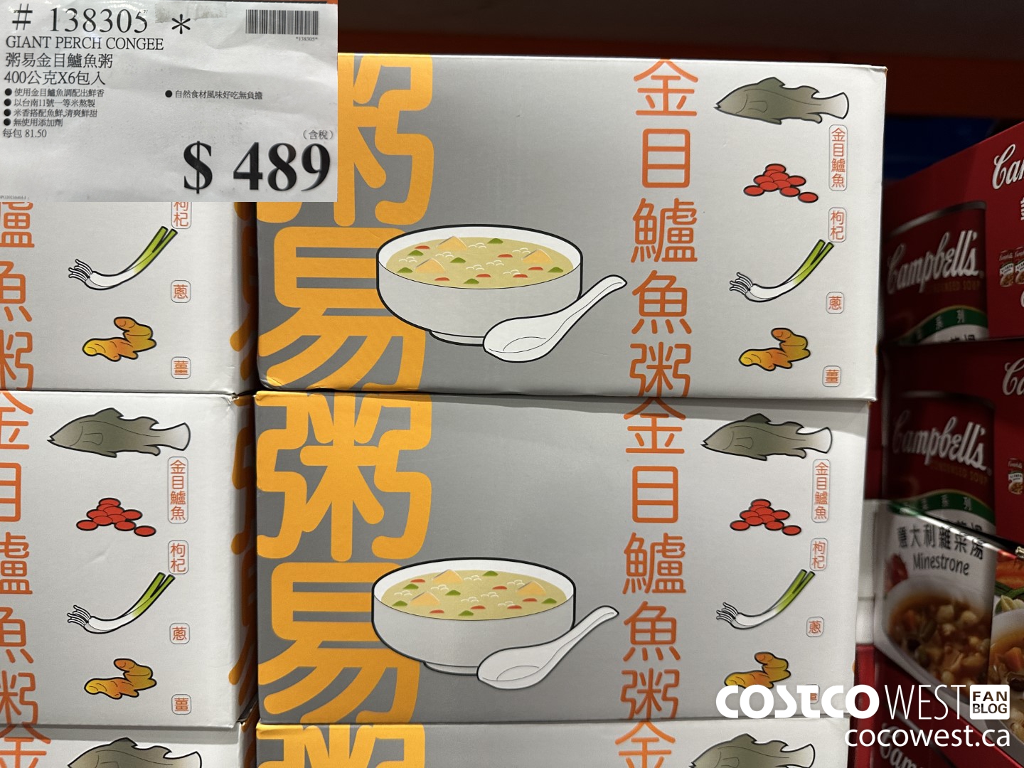 138305 GIANT PERCH CONGEE $489.00