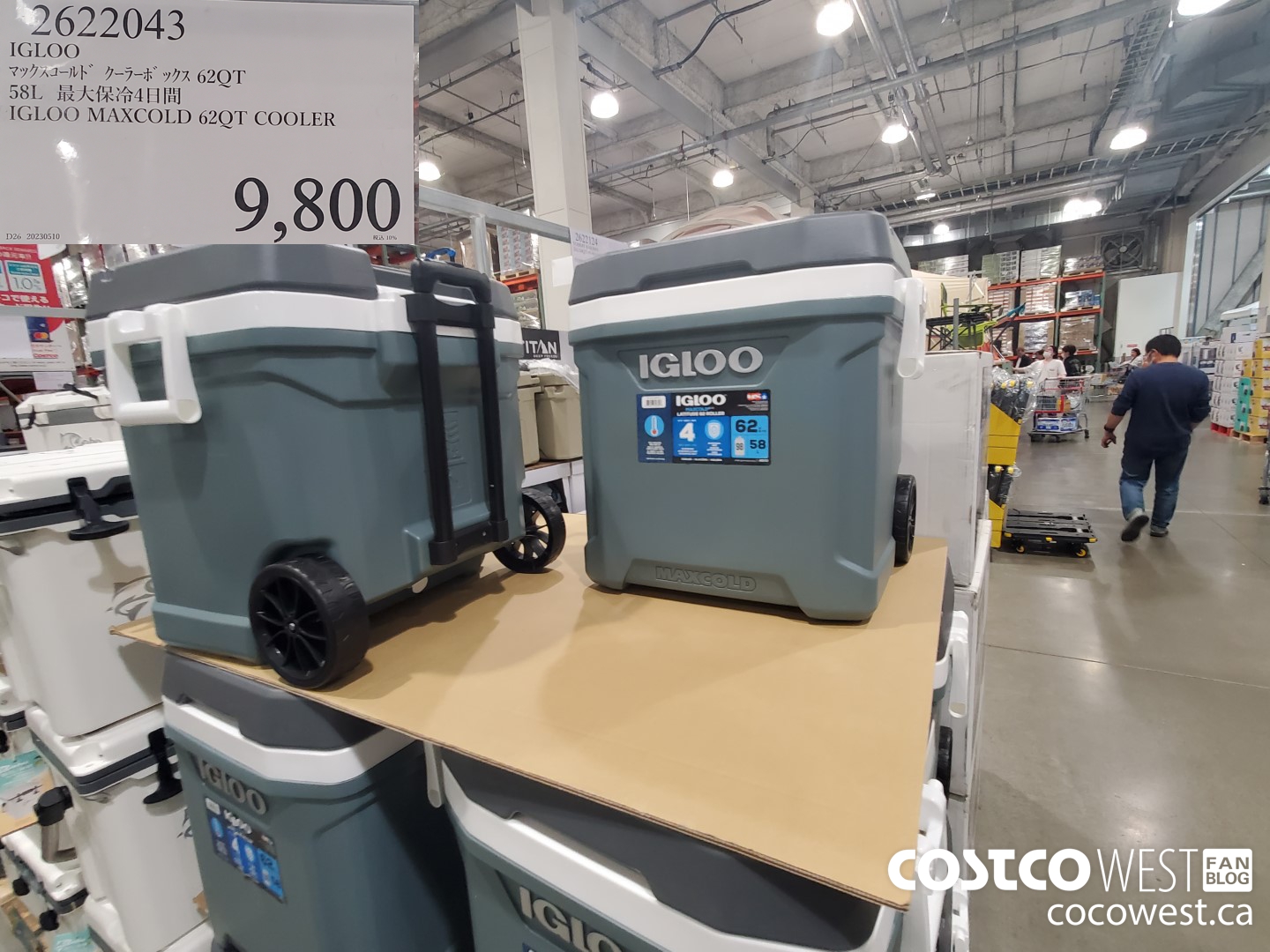 2622043 IGLOO MAXCOLD 62QT COOLER $9800.00