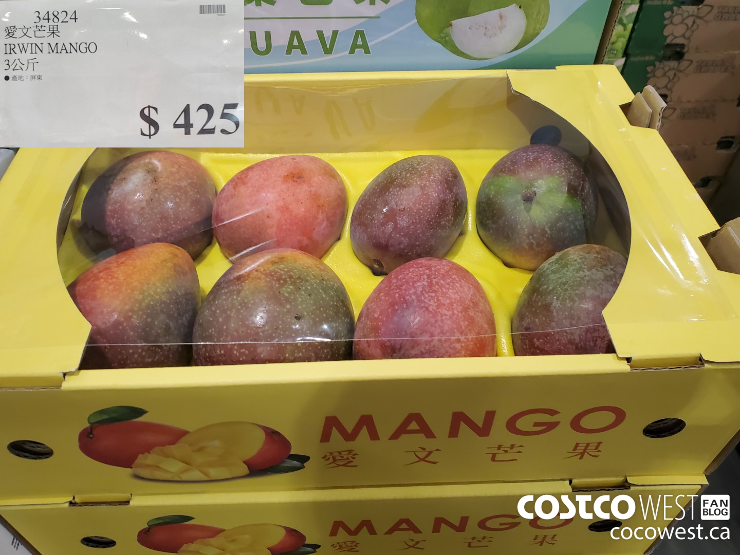 34824 IRWIN MANGO $425.00