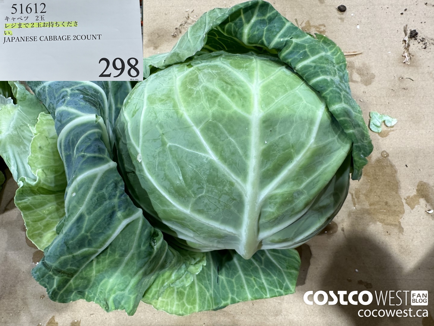 51612 JAPANESE CABBAGE 2 COUNT $298.00