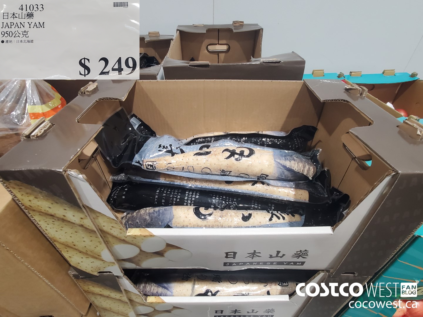 41033 JAPAN YAM $249.00