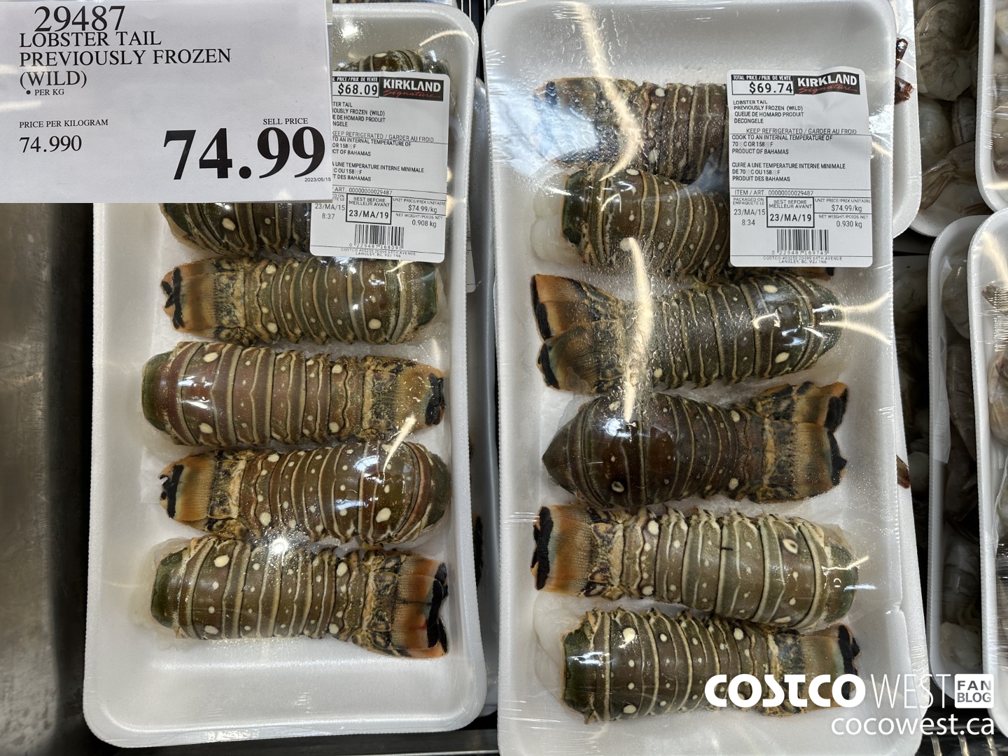 29487 LOBSTER TAIL PREVIOUSLY FROZEN (WILD) $74.99