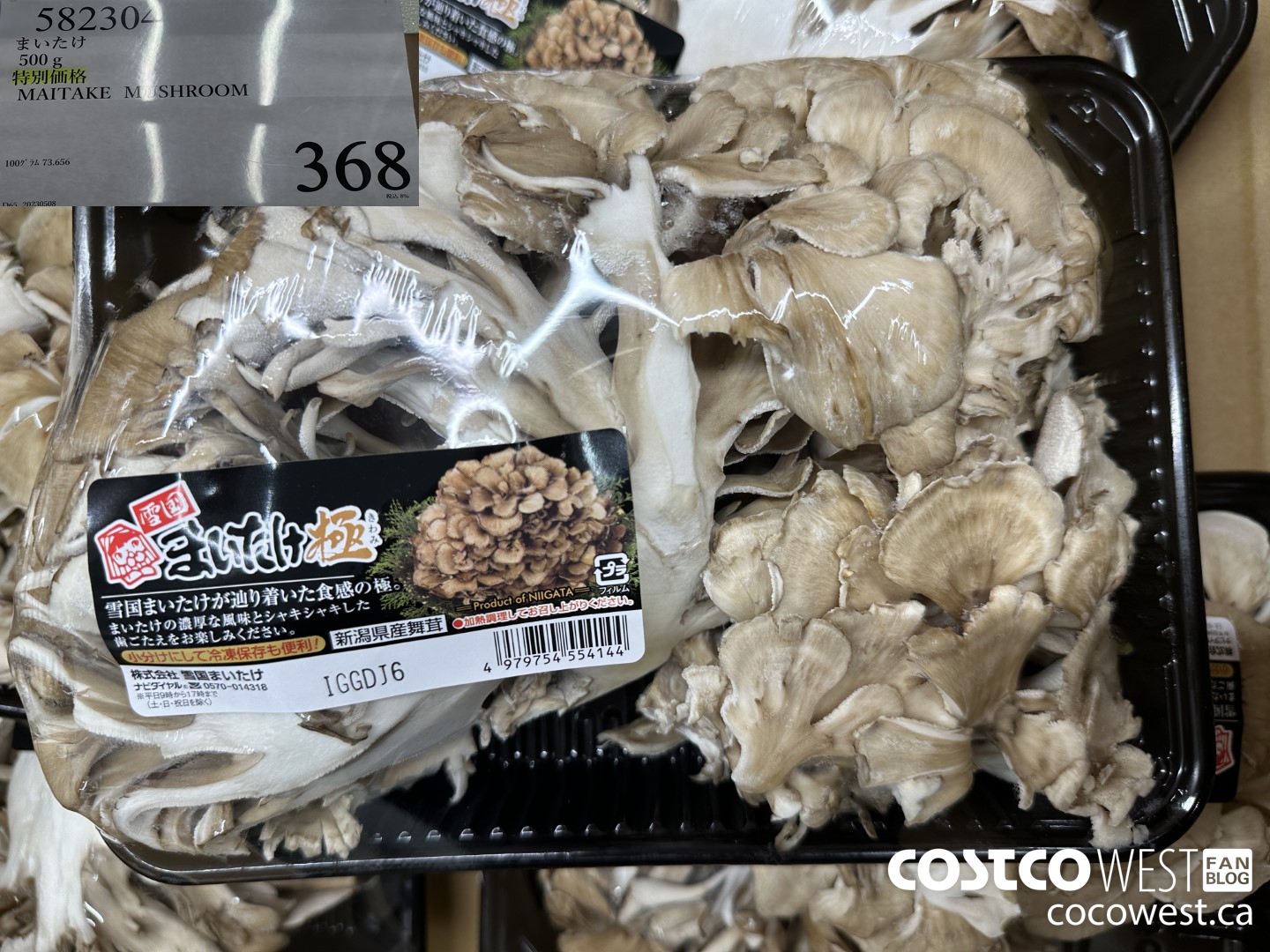 582304 MAITAKE MUSHROOM 500G $368.00