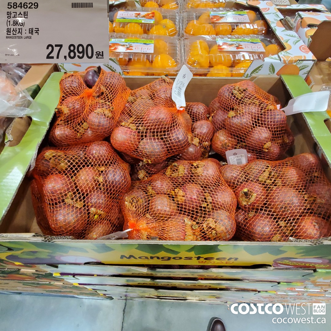 584629 MANGOSTEEN LARGE $27890.00