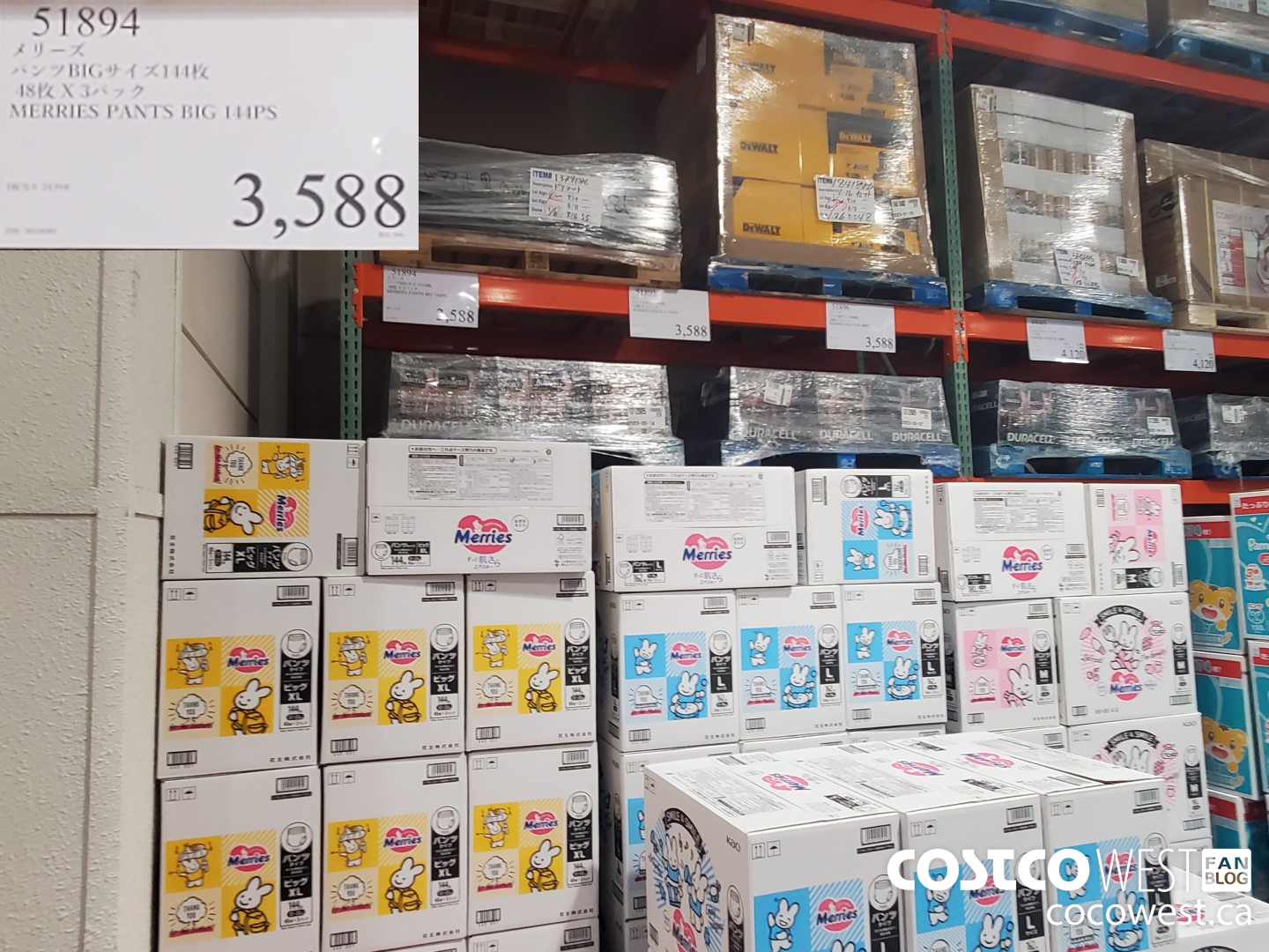 51894 MERRIES PANTS BIG 144PS $3588.00