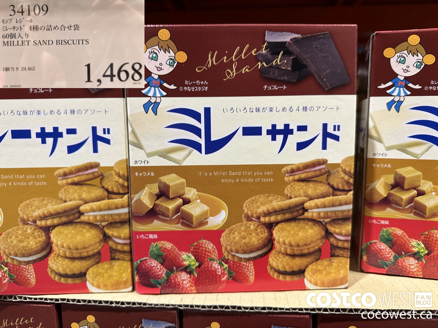 34109 MILLET SAND BISCUITS $1468.00