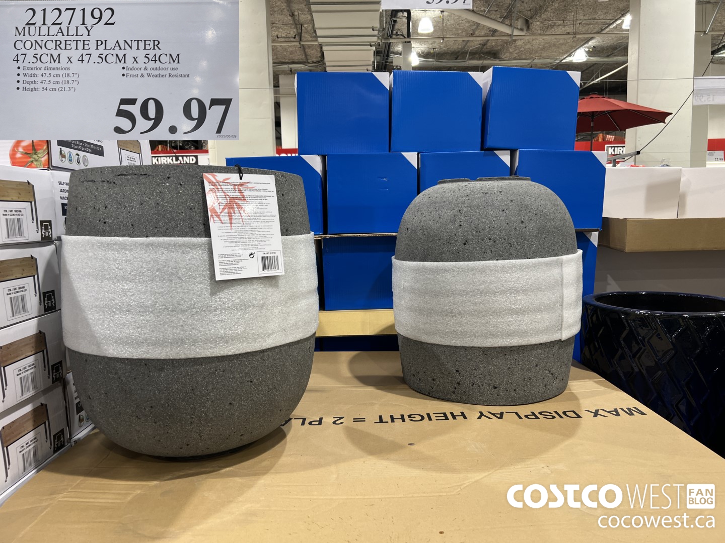 2127192 MULLALLY CONCRETE PLANTER 47.5CM X 47.5CM X 54 CM $59.97