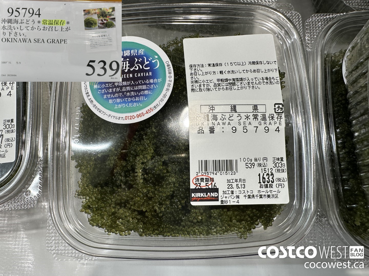 95794 OKINAWA SEA GRAPE $539.00