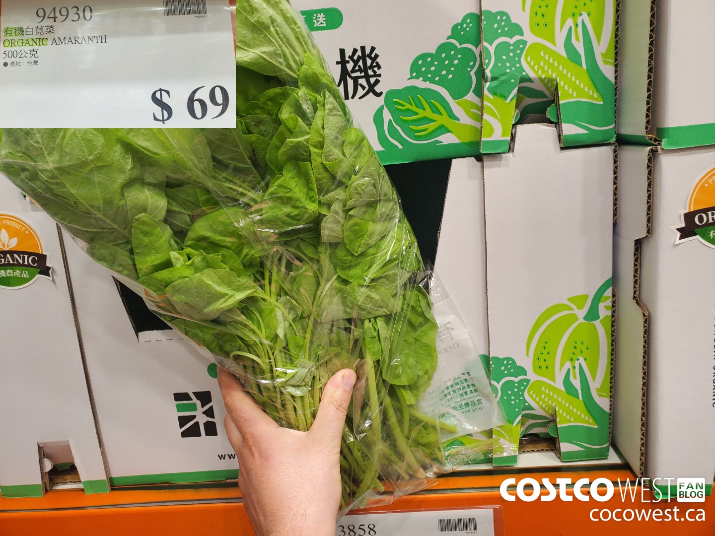 94930 ORGANIC AMARANTH $69.00