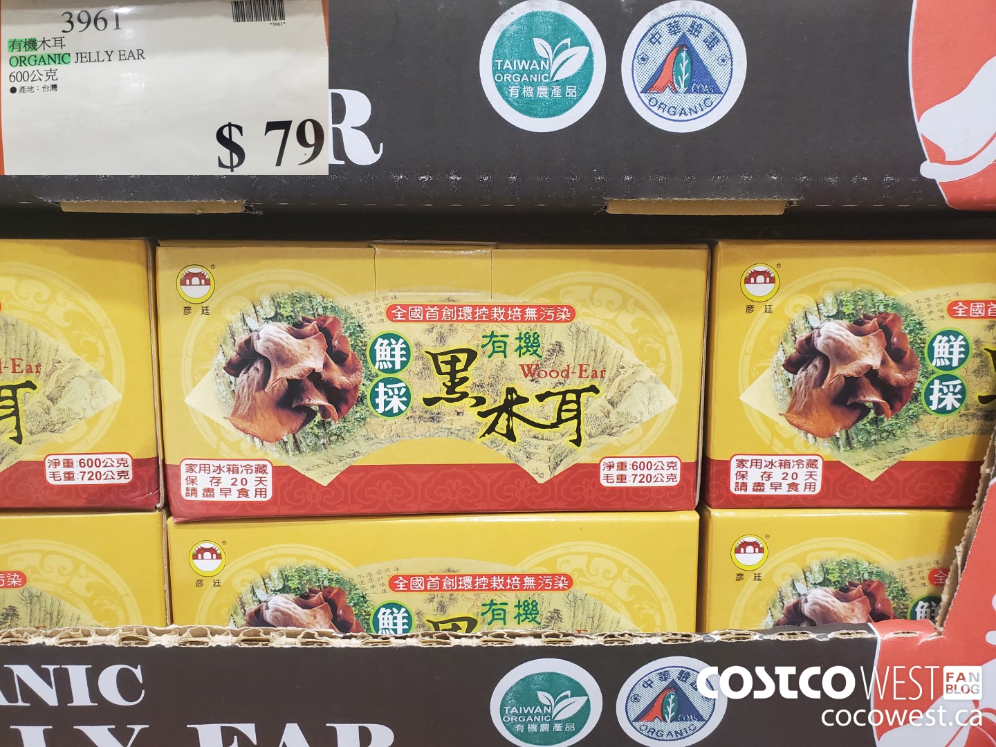 3961 ORGANIC JELLY EAR $79.00