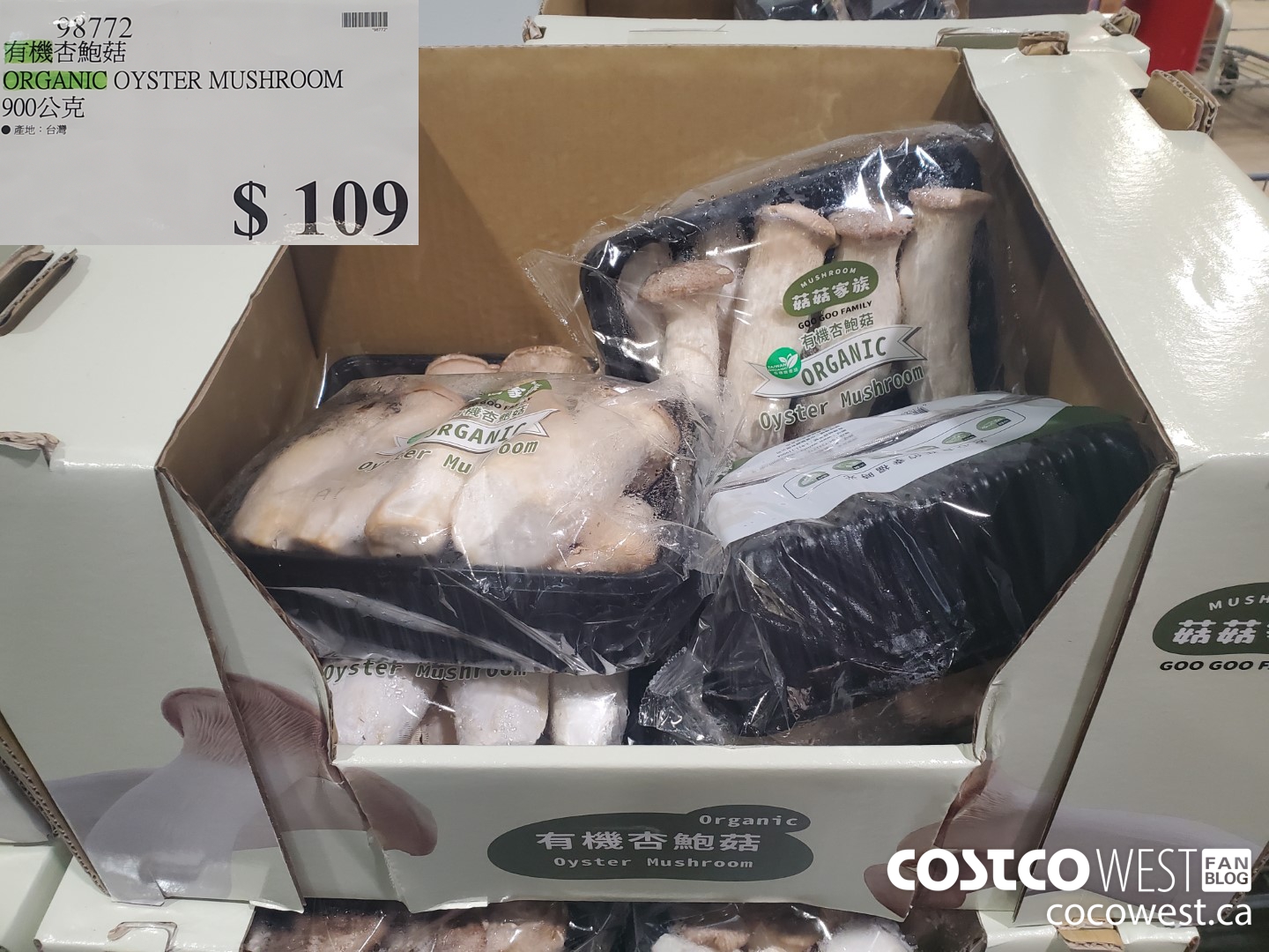98772 ORGANIC OYSTER MUSHROOM $109.00