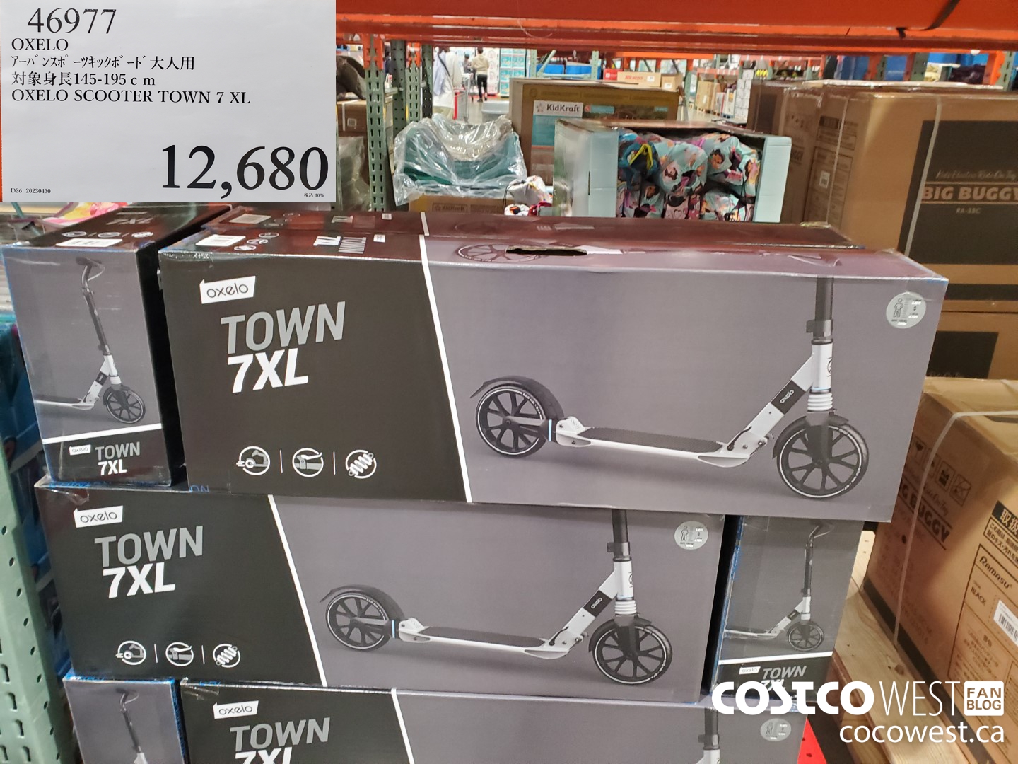 46977 OXELO SCOOTER TOWN 7 XL 145-195CM $12680.00