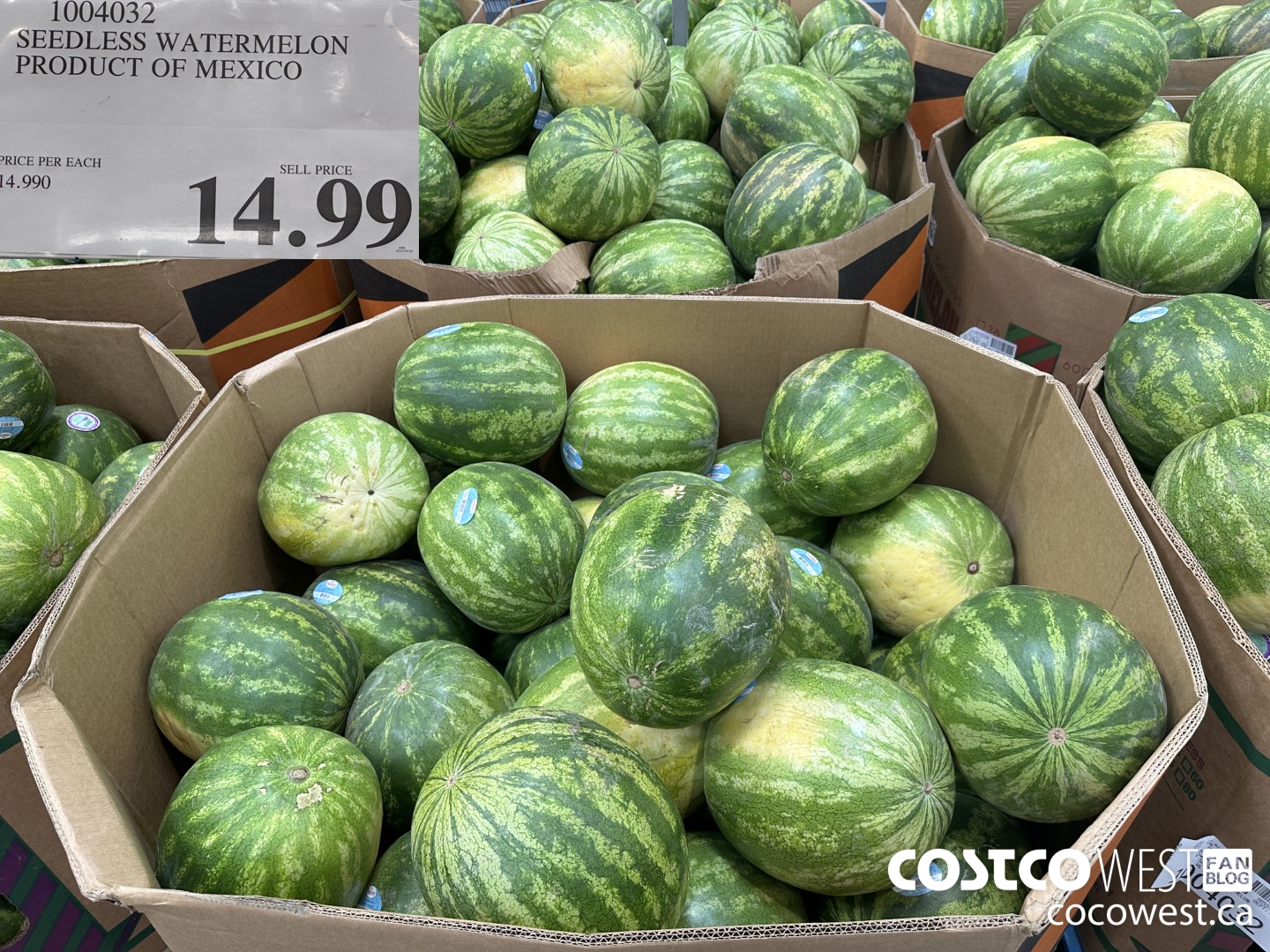 1004032 SEEDLESS WATERMELON PRODUCT OF MEXICO $14.99