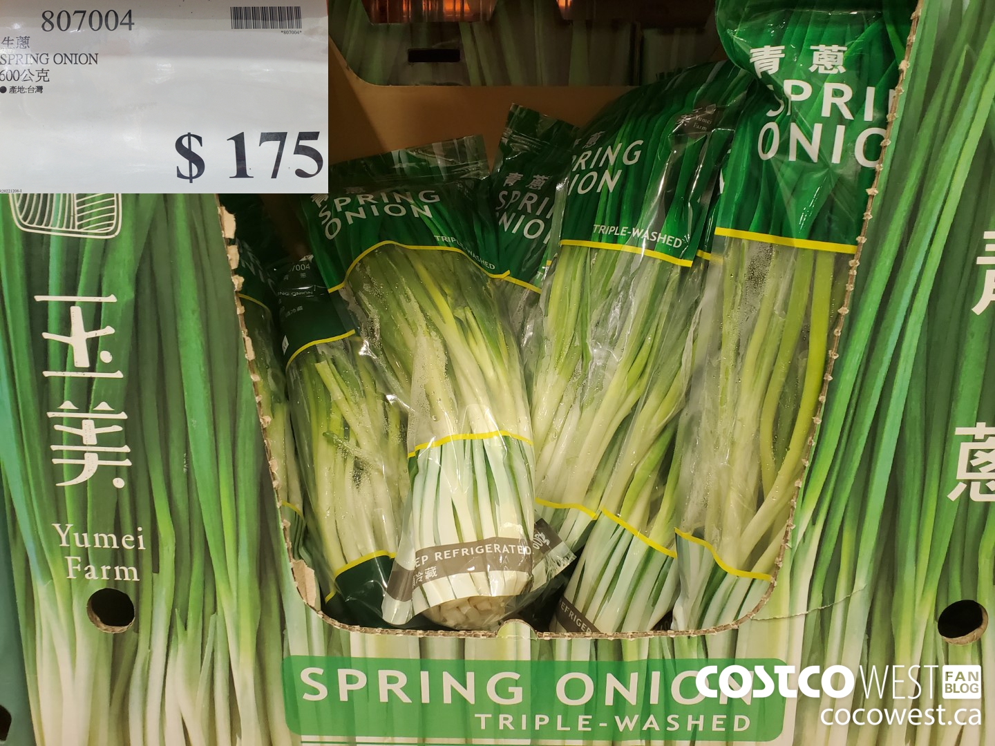 807004 SPRING ONION $175.00